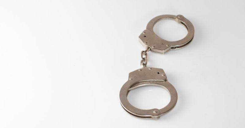 Freepik.com/wirestock